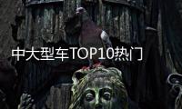 中大型車TOP10熱門車：求新才有變化