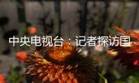中央電視臺：記者探訪國際郵件處理中心如何防疫