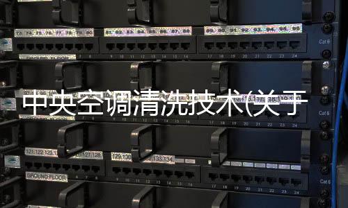 中央空調(diào)清洗技術(shù)(關(guān)于中央空調(diào)清洗技術(shù)簡述)