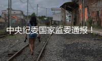 中央紀委國家監委通報！