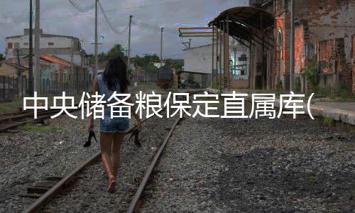 中央儲備糧保定直屬庫(關(guān)于中央儲備糧保定直屬庫簡述)