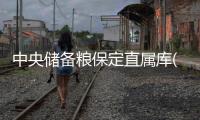 中央儲(chǔ)備糧保定直屬庫(kù)(關(guān)于中央儲(chǔ)備糧保定直屬庫(kù)簡(jiǎn)述)