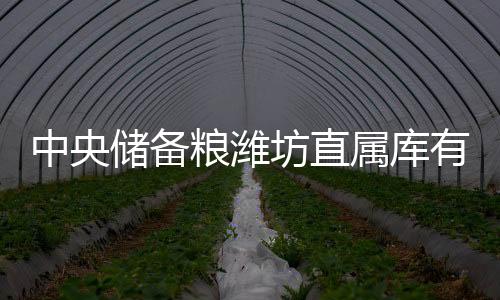 中央儲備糧濰坊直屬庫有限公司(關(guān)于中央儲備糧濰坊直屬庫有限公司簡述)