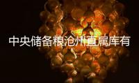 中央儲(chǔ)備糧滄州直屬庫(kù)有限公司(關(guān)于中央儲(chǔ)備糧滄州直屬庫(kù)有限公司簡(jiǎn)述)