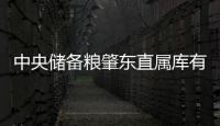 中央儲備糧肇東直屬庫有限公司(關于中央儲備糧肇東直屬庫有限公司簡述)