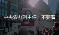 中央農辦副主任：不要著急斷了進城農民回鄉村的后路