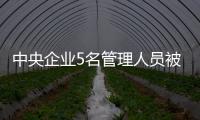 中央企業5名管理人員被查！
