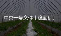 中央一號文件丨穩面積、增單產兩手發力保障糧食生產