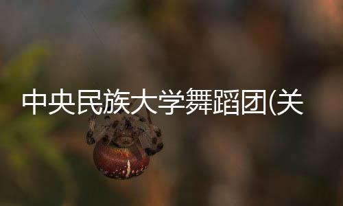 中央民族大學舞蹈團(關于中央民族大學舞蹈團簡述)