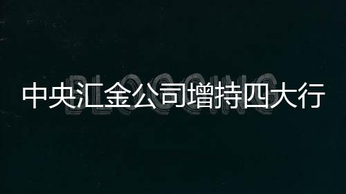 中央匯金公司增持四大行股份