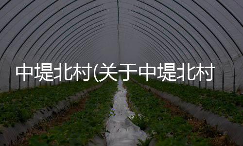 中堤北村(關(guān)于中堤北村簡述)