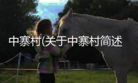 中寨村(關于中寨村簡述)