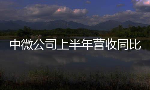 中微公司上半年營收同比增長36.46%