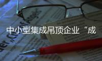 中小型集成吊頂企業“成長之惑”