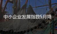 中小企業(yè)發(fā)展指數(shù)5月降幅收窄，多項分行業(yè)指數(shù)回升｜快訊