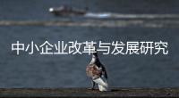 中小企業改革與發展研究(關于中小企業改革與發展研究簡述)