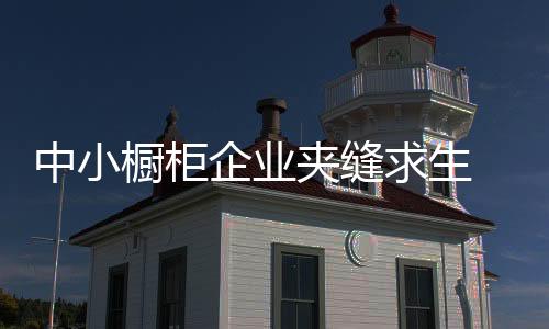 中小櫥柜企業夾縫求生 轉變營銷思路