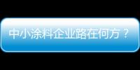 中小涂料企業路在何方？