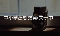中小學(xué)感恩教育(關(guān)于中小學(xué)感恩教育簡述)