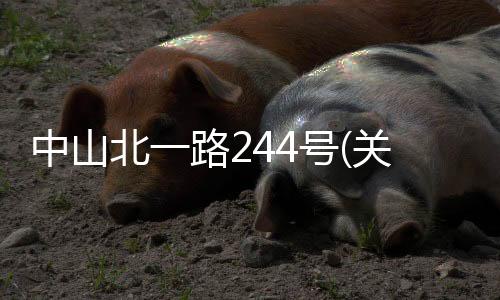 中山北一路244號(hào)(關(guān)于中山北一路244號(hào)簡(jiǎn)述)