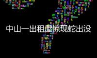 中山一出租屋驚現蛇出沒 蛇身大約有兩根手指粗