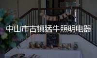 中山市古鎮猛牛照明電器廠(關于中山市古鎮猛牛照明電器廠簡述)