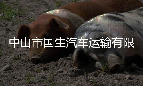 中山市國生汽車運輸有限公司(關于中山市國生汽車運輸有限公司簡述)