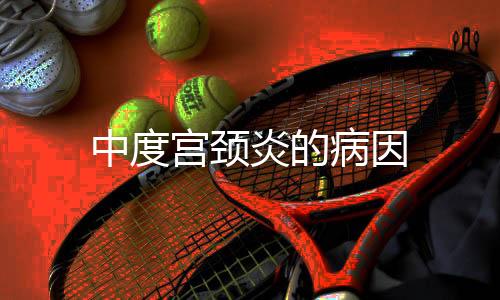 中度宮頸炎的病因