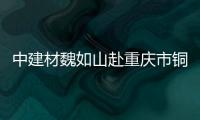 中建材魏如山赴重慶市銅梁區(qū)考察調(diào)研,經(jīng)驗(yàn)交流
