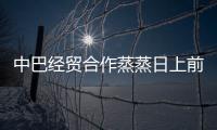 中巴經貿合作蒸蒸日上前景可期