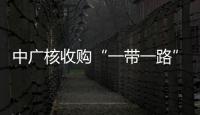中廣核收購“一帶一路”沿線 13個清潔能源項目