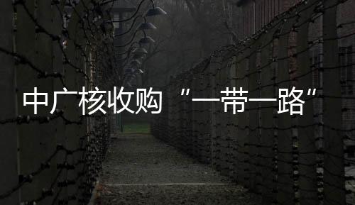 中廣核收購“一帶一路”沿線 13個清潔能源項目