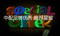 中配足夠優(yōu)秀 推薦星耀版 星途TXL購車手冊