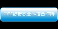 中非熱帶農業科技合作持續深化（新時代中非合作）