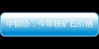 中鋼協：今年鐵礦石價格要降到2007年水平