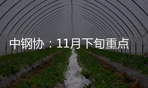 中鋼協(xié)：11月下旬重點(diǎn)統(tǒng)計(jì)鋼鐵企業(yè)共生產(chǎn)粗鋼1716.90萬噸