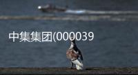 中集集團(000039)
