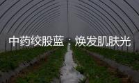 中藥絞股藍：煥發肌膚光彩的秘密！
