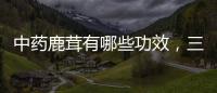 中藥鹿茸有哪些功效，三個作用有助恢復身體，不妨了解