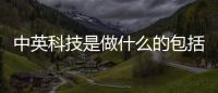 中英科技是做什么的包括中英科技主題軟件下載的詳細(xì)情況