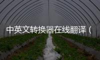 中英文轉換器在線翻譯（中英文轉換器）