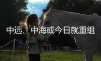 中遠、中海或今日就重組問題揭神秘面紗