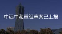中遠中海重組草案已上報 或成立航運投資運營公司