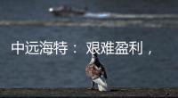 中遠海特： 艱難盈利，未來見好