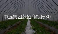 中遠(yuǎn)集團(tuán)獲招商銀行300億授信