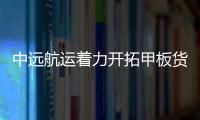 中遠(yuǎn)航運(yùn)著力開(kāi)拓甲板貨源市場(chǎng)
