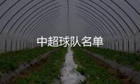 中超球隊名單