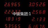 中駿集團:1