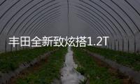 豐田全新致炫搭1.2T發(fā)動機 動力提升