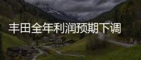 豐田全年利潤預期下調 將投資出行服務領域